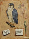 Owl with Bugs