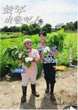 历史长河
